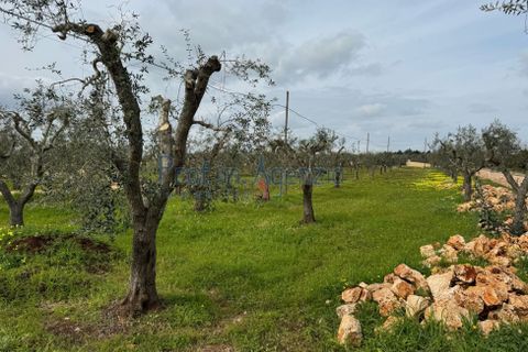 Villa i Ostuni, Brindisi, Ostuni - € 735.000 | Ref: 172862 - foto 9